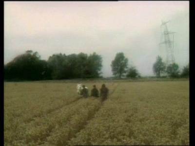 The Tripods