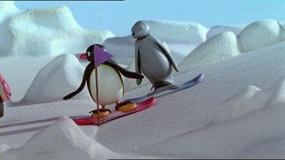 Pingu