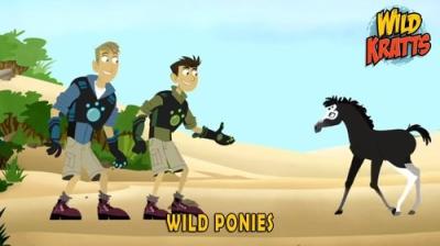 Wild Kratts