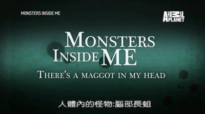 Monsters Inside Me