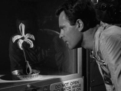 The Outer Limits