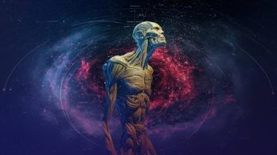 Cosmic Disclosure