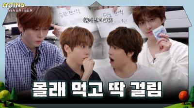 GOING SEVENTEEN