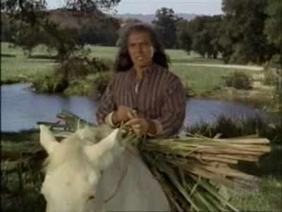Bonanza