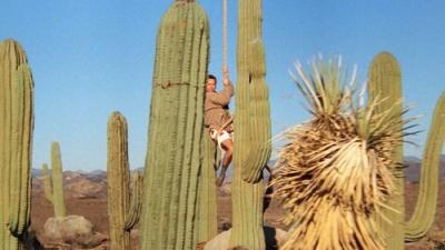 Mėnesienos apšviesti