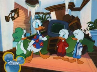 Quack Pack