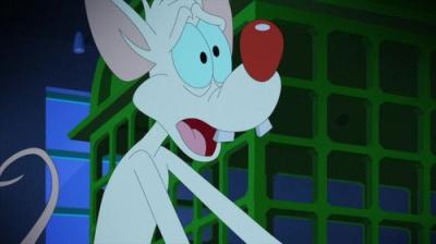 Animaniacs