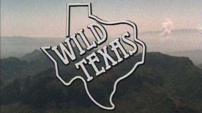 Marty Stouffer's Wild America