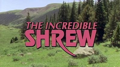 Marty Stouffer's Wild America