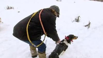 Mountain Men