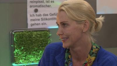Promi Big Brother - Die Late Night Show