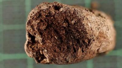 The Secret of Skinwalker Ranch