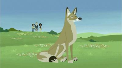 Wild Kratt