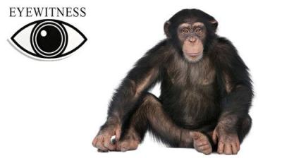 Eyewitness