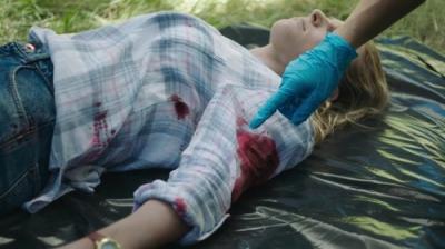 The Brokenwood Mysteries