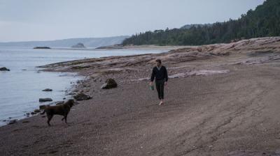 The Truth About the Harry Quebert Affair