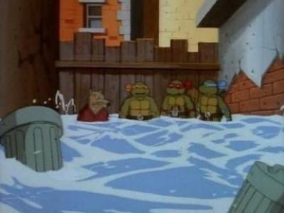 Teenage Mutant Ninja Turtles