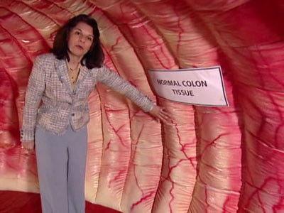 Penn & Teller: Bullshit!