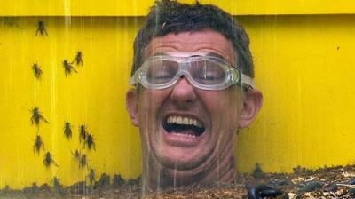 I'm a Celebrity...Get Me Out of Here!