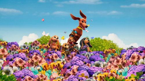 Pretzel and the Puppies filmas žiurėti online