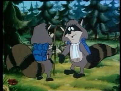 The Raccoons