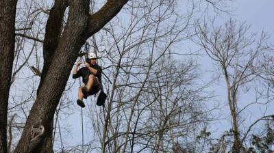 Treehouse Masters