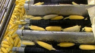 How It's Made