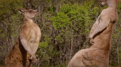 Earth Odyssey with Dylan Dreyer