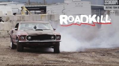 Roadkill
