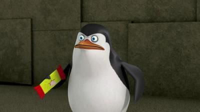 Madagaskaro pingvinai