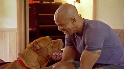 Pit Bulls and Parolees