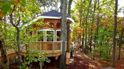 Treehouse Masters