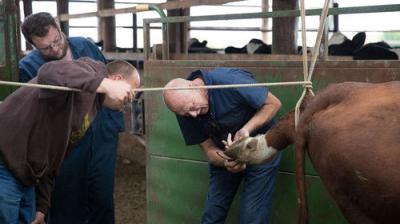 The Incredible Dr. Pol