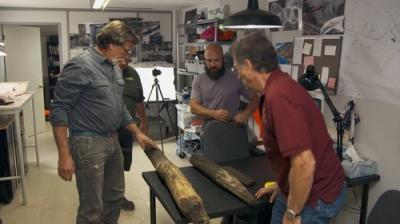 The Curse of Oak Island