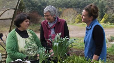 Gardening Australia