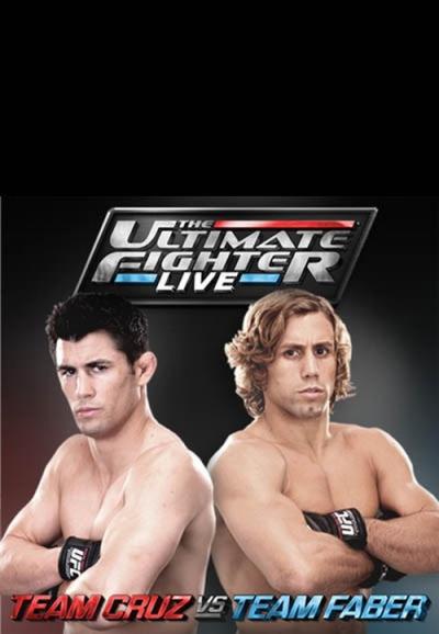 The Ultimate Fighter filmas online