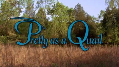 Marty Stouffer's Wild America