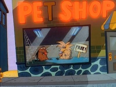 The Angry Beavers
