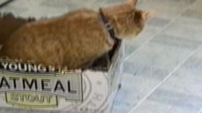 Funniest Pets & People