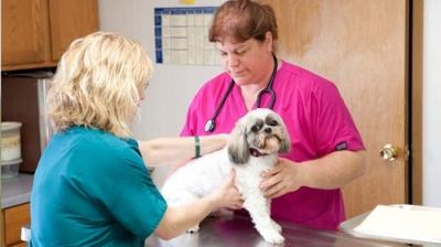 The Incredible Dr. Pol