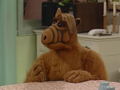 ALF