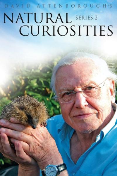 David Attenborough's Natural Curiosities filmas online