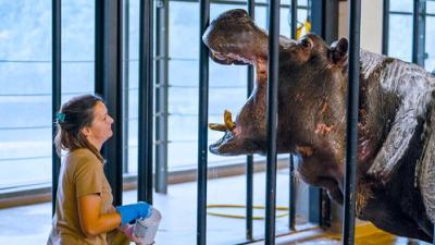 Het Echte Leven in de ZOO