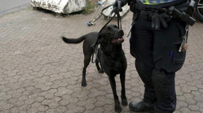 Gränsbevakarna Sverige
