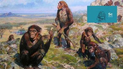 Le serie di RaiCultura.it