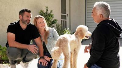 Cesar Millan: Better Human, Better Dog