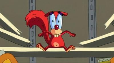 Squirrel Boy