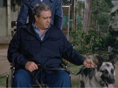 Ironside