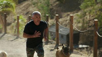 Cesar Millan: Better Human, Better Dog