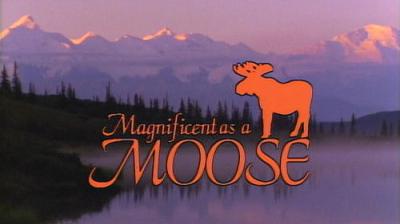 Marty Stouffer's Wild America